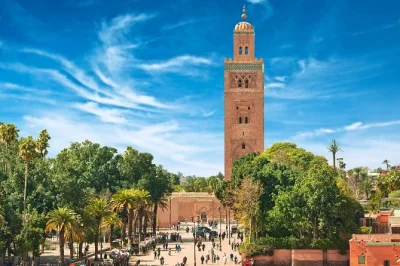 Scopri la medina di marrakech con una guida certificata, assaggia il pane appena sfornato, ascolta storie dai bagni pubblici e ammira la moschea koutoubia. tour privato con pick-up incluso.
