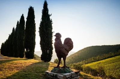 Taste chianti wines, stroll san gimignano’s towers, and enjoy a tuscan lunch on this florence day trip with pickup, wifi, and a local guide. includes wine tastings.
