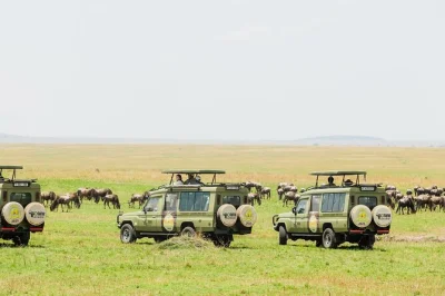 Feel the pulse of tanzania’s calving season on safari from arusha to ngorongoro, with expert guides, luxury camps, and up-close wildlife moments. includes transfers.