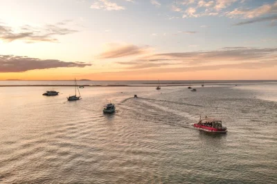 Erlebe eine entspannte 1770 nachmittags-kreuzfahrt mit live-kommentar, tierbeobachtungen und ausblicken auf eurimbula. inklusive lokalem guide und wetterfestem komfort.