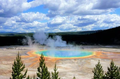 Feel the steam, spot wildlife, and hike secret trails on a private yellowstone day trip from west yellowstone. includes park entry, local guide, and picnic lunch.
