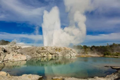 Explore hobbiton, tome uma cidra na green dragon e sinta o calor das fontes termais de rotorua. inclui transporte em auckland, ingressos e guia local.