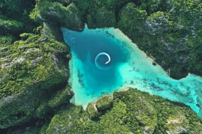 Siente la emoción de una lancha rápida a phi phi, nada en maya bay, relájate en bamboo island y disfruta con los locales. incluye recogida en hotel, almuerzo y equipo de snorkel.
