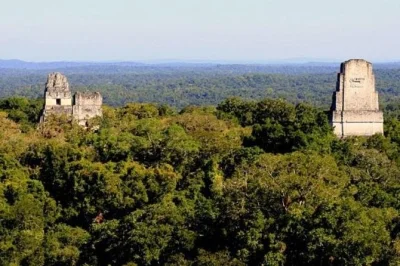 Fly from guatemala city to tikal for a day exploring ancient mayan temples, jungle trails, and plazas with a local guide. includes lunch and hotel pickup.