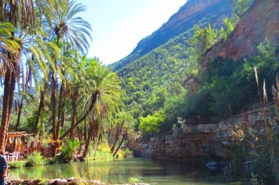 Partez sur la route du miel vers paradise valley, flânez dans les rues surf de taghazout et savourez des fruits de mer frais. transport privé depuis agadir inclus.