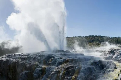 Siente el vapor en te puia, observa la erupción del géiser pōhutu y pasea por el lago rotorua con un grupo pequeño. incluye recogida en hotel, guía experto y almuerzo buffet.