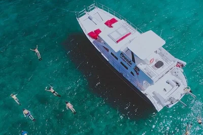 Set out from antigua on a relaxed catamaran cruise, snorkel at paradise reef, and enjoy a fresh lobster lunch on bird island. includes hotel pickup and open bar.