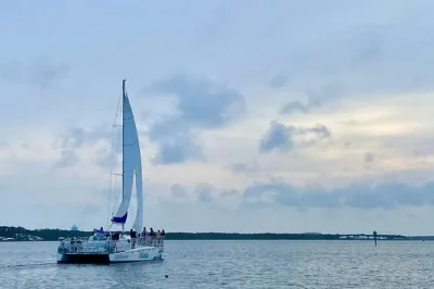 Watch dolphins and seabirds from a stable catamaran in orange beach. sail calm bays with a local crew, spot wildlife, and enjoy a laid-back two-hour cruise—includes all fees.