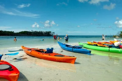 Entdecke shell key preserve per kajak, paddle durch mangroventunnel, halte ausschau nach delfinen oder manatis und erkunde die insel mit einem lokalen guide – ausrüstung inklusive.