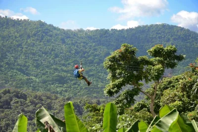 Feel the rush ziplining in luquillo’s rainforest, cross a canopy bridge, rappel rocks, and hike with certified guides—snacks and safety gear included. small groups.