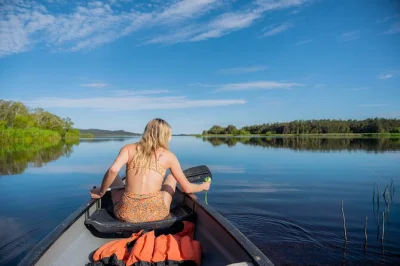 Erlebe die ruhe der noosa everglades bei einer kanu- und Öko-bootstour. paddel über glatte wasserwege, entdecke uralten regenwald und genieße snacks – abholung inklusive.