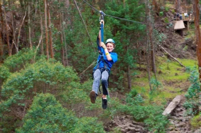 Erlebe den adrenalinkick auf mauis haleakala mit sechs ziplines, wackeligen holzbrücken und dem duft von eukalyptus – inklusive ausrüstung und lokalem guide.