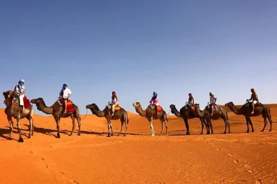 Découvrez le contraste entre l’effervescence de marrakech et le silence du sahara avec un trek à dos de chameau, nuit en camp berbère et repas locaux. transfert, chambres privées et séjour en c