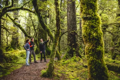 Scopri il lato selvaggio di milford sound con un’escursione in piccolo gruppo da te anau: crociera in barca, passeggiate guidate e pranzo al sacco incluso—con prelievo dall’hotel.