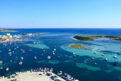 Embarquez à porto cesareo pour un tour en catamaran avec snorkeling, découvrez des ruines romaines, nagez près de plages dorées et savourez un déjeuner apéritif local avec boissons incluses.