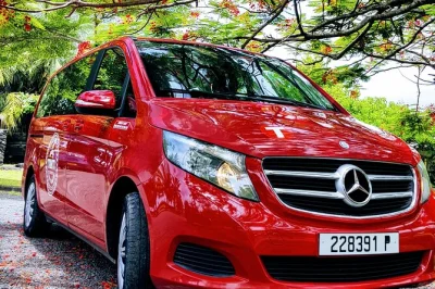 Descubra a costa oeste de tahiti em grupo pequeno—caminhe por vales antigos, nade em grutas frescas, conheça moradores locais e prove frutas frescas. inclui transporte e guia local.