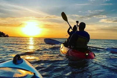 Watch sunset from cat ba’s radio tower, share a vietnamese dinner on a floating house, then kayak through glowing plankton—includes hotel pickup and local guide.