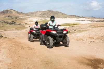 Feel aruba’s wild side on an atv & utv tour—ride past the alto vista chapel, bushiribana gold mill ruins, and visit the famous aloe factory. includes bottled water.