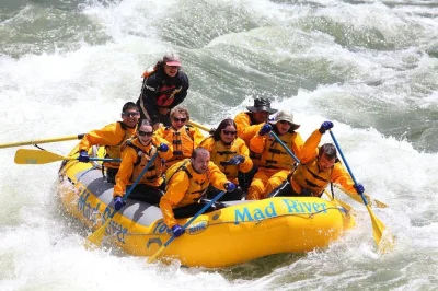 Feel the thrill of snake river whitewater rafting in jackson hole with small boats, expert guides, and all gear included. pickup & return transport provided.