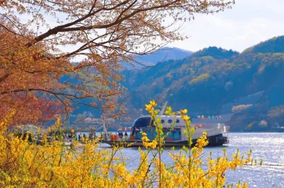 Feel the tree-lined paths of nami island, wander petite france & italian village, and stroll korea’s oldest private garden. includes tickets & transport from seoul.