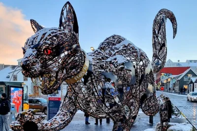 Scopri reykjavik con una guida locale, incontra i gatti più famosi della città e rilassati al cat coffeehouse gustando dolci islandesi e una bevanda calda. tour con commento guidato.