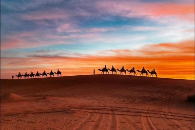 Experience a real sahara adventure from ouarzazate to chegaga. ride camels, visit kasbahs, sleep in desert tents, and explore berber villages in 2 days.