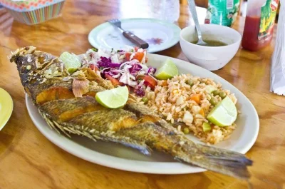 Scopri i sapori autentici di cozumel con un tour gastronomico che include 5 tappe, empanadas fatte a mano, tacos di gamberi, dolci tipici e bevande. gruppo piccolo e pickup incluso.