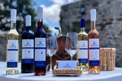 Scopri gli aromi delle erbe selvatiche tra gli uliveti di naxos, assaggia i vini locali della cantina saint anna e gusta snack tipici cicladici, tutto accompagnato da una guida del posto.