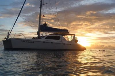 Curta o pôr do sol em barbados com um passeio de catamarã em grupo pequeno saindo de bridgetown, com paradas para snorkel com tartarugas e naufrágios, bebidas, tapas e traslado incluso.