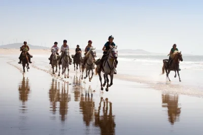 Vivi la brezza dell’atlantico con un giro a cavallo di 2 ore a essaouira tra dune, foresta e spiaggia. include pickup in hotel, guida locale e tutta l’attrezzatura.