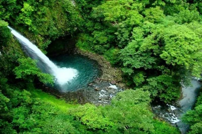 Découvrez la fraîcheur de la cascade la fortuna, randonnez sur les anciennes coulées de lave du volcan arenal, traversez des ponts suspendus en pleine forêt tropicale et détendez-vous dans des so