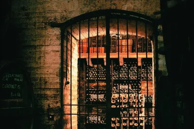 Découvrez viña cousiño macul à santiago, dégustez des vins d’exception dans ses caves centenaires et partagez des histoires authentiques avec un guide local. dégustations et accords inclus.