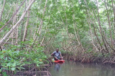 Glide across babin beach on a stand up paddle tour, explore grand cul-de-sac marin mangroves, and sip homemade lemonade in a quiet cove. includes board & guide.