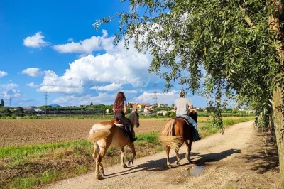 Cavalgue perto de lazise pelo campo, faça um picnic sob as vinhas e prove vinhos em uma fazenda familiar de apicultura. guia local e degustação inclusos.