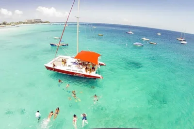 Nade com tartarugas em barbados, explore naufrágios, aproveite um almoço típico bajan e open bar em um passeio de catamarã relaxante com traslado incluso.