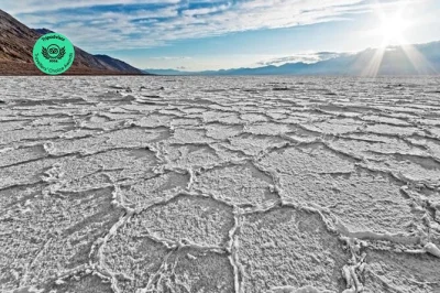 Sinta o calor do death valley em um passeio de 1 dia em grupo pequeno saindo de las vegas, com transporte, almoço e guia experiente. garanta sua vaga agora.