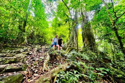 Wake up to cat ba’s wild side—hike deep jungle trails, meet locals in viet hai village, kayak lan ha bay, and enjoy lunch with a fish massage. includes pickup.