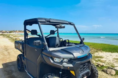 Conduce tu propio utv en aruba durante 8 horas. visita baby beach, las ruinas del molino de oro bushiribana y más. incluye apoyo de guía y paradas flexibles.