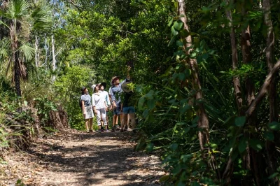 Nuota nelle cascate di litchfield, gusta un pranzo fatto in casa ed esplora con una guida locale esperta. include pickup, ingresso al parco e snack freschi lungo il percorso.