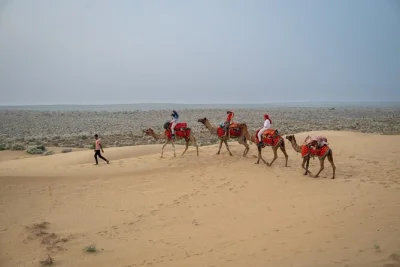 Partez de jaisalmer à dos de chameau, explorez des dunes isolées, partagez un chai au coin du feu et dormez à la belle étoile. transfert, repas et guide local inclus pour une nuit authentique dans