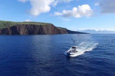 Maui, lanai, delfine & schnorcheln: erlebe eine eco-raft tour mit kleinen gruppen, einheimischen guides, frühstück & snacks – echtes hawaii-feeling garantiert.