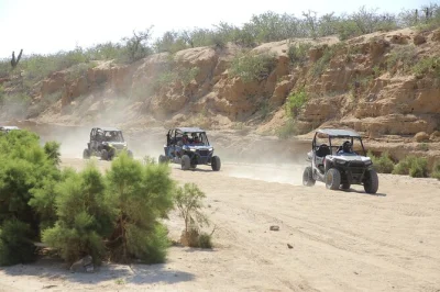 Feel the wind on a 4x4 utv ride, meet camels by the pacific, and share a mexican buffet with tequila tasting. includes pickup from cabo and local guides.