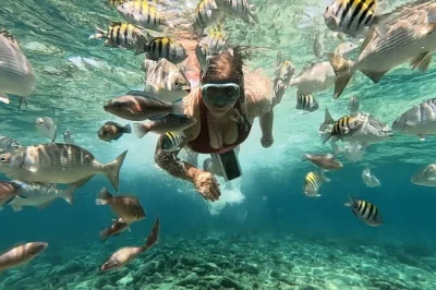 Partez en speedboat vers les îles rosario, explorez les récifs en snorkeling ou visitez l’aquarium, puis détendez-vous à playa blanca avec un déjeuner caribéen et un guide local.