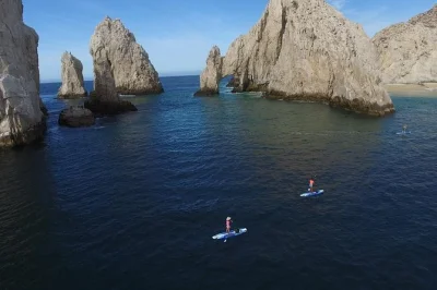Parti all’alba da cabo san lucas, pagaia in kayak o paddle board fino all’arco, fai snorkeling alla barriera di pelican rock e ascolta le storie di un biologo marino. foto incluse.