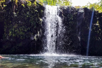 Feel the wild side of maui on a half-day road to hana tour with black sand beaches, waterfalls, turtles, and local stories—includes pickup and refreshments.