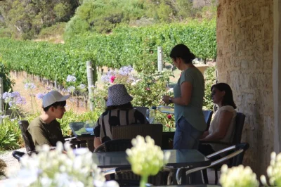 Siente la costa salvaje, prueba los vinos de margaret river y disfruta con un guía local. incluye recogida en hotel, degustaciones y una copa de vino o cerveza.