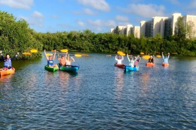 Découvrez dauphins, lamantins et oiseaux locaux en kayak dans les mangroves de siesta key. matériel inclus, pause plage tranquille et conseils d’un guide du coin.