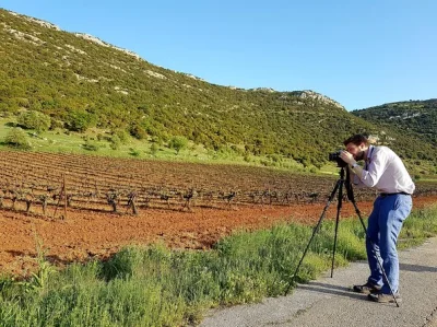 Scopri le rovine di micene, i vigneti di nemea e un pranzo tipico in questo tour privato da atene. degustazioni in cantina e guida esperta incluse.