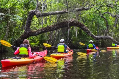 Glide through lofton creek’s blackwater near amelia island, spot turtles & otters, and paddle with a friendly guide. includes kayak, gear, and photos.