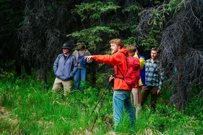 Siente el musgo, prueba bayas silvestres y recorre el bosque boreal de denali con un naturalista certificado. incluye bastones de trekking y apoya la conservación—grupo pequeño, auténtico alaska.